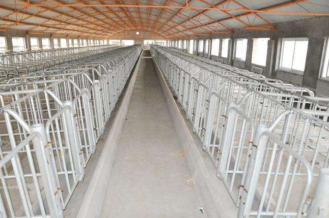 热博登录现代养殖场